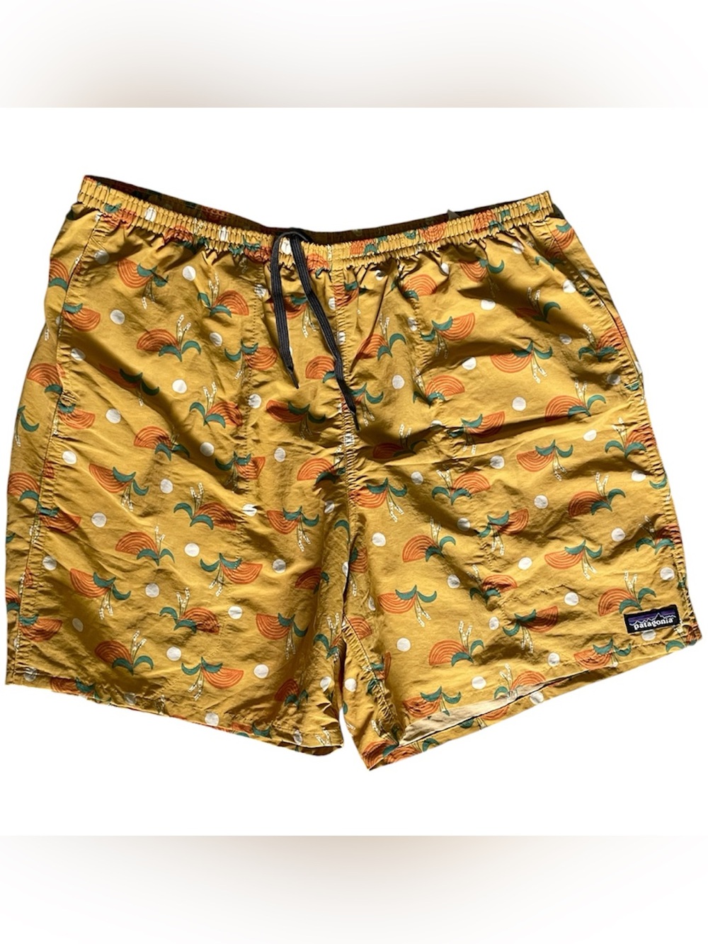 Classic Patagonia Baggies Shorts